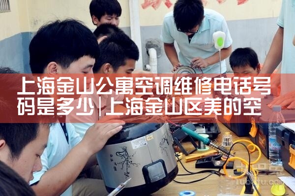 ϺɽԢյά޵绰Ƕ|ά޿ͷ绰