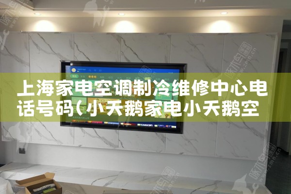 上海家电空调制冷维修中心电话号码|同城上门服务